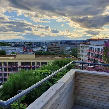 Touristic Choice Of Oslo