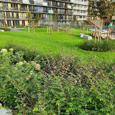 Touristic Choice Of *